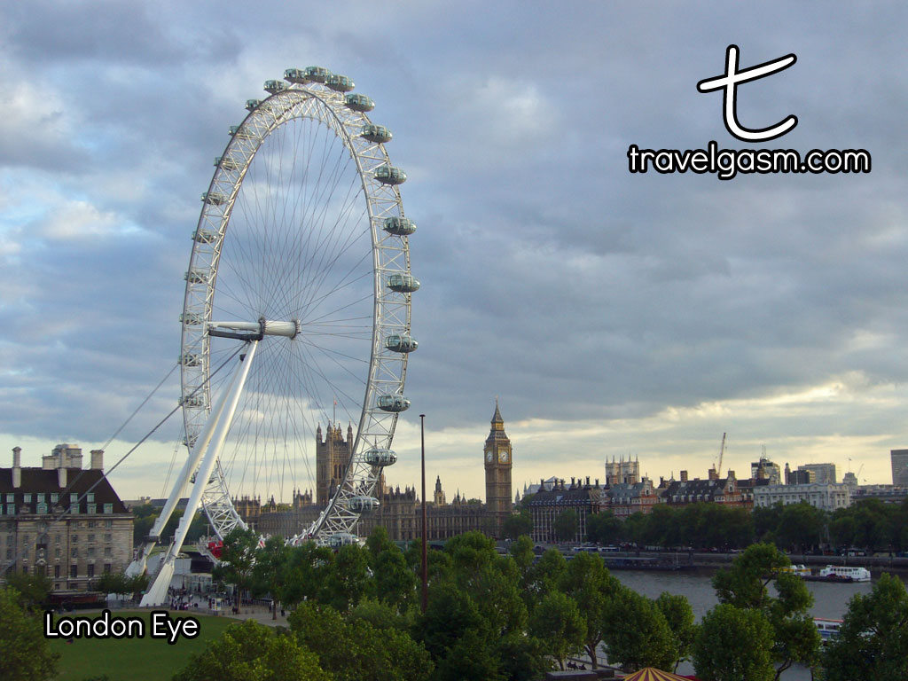 A view of The London Eye and the Palace of Westminster.