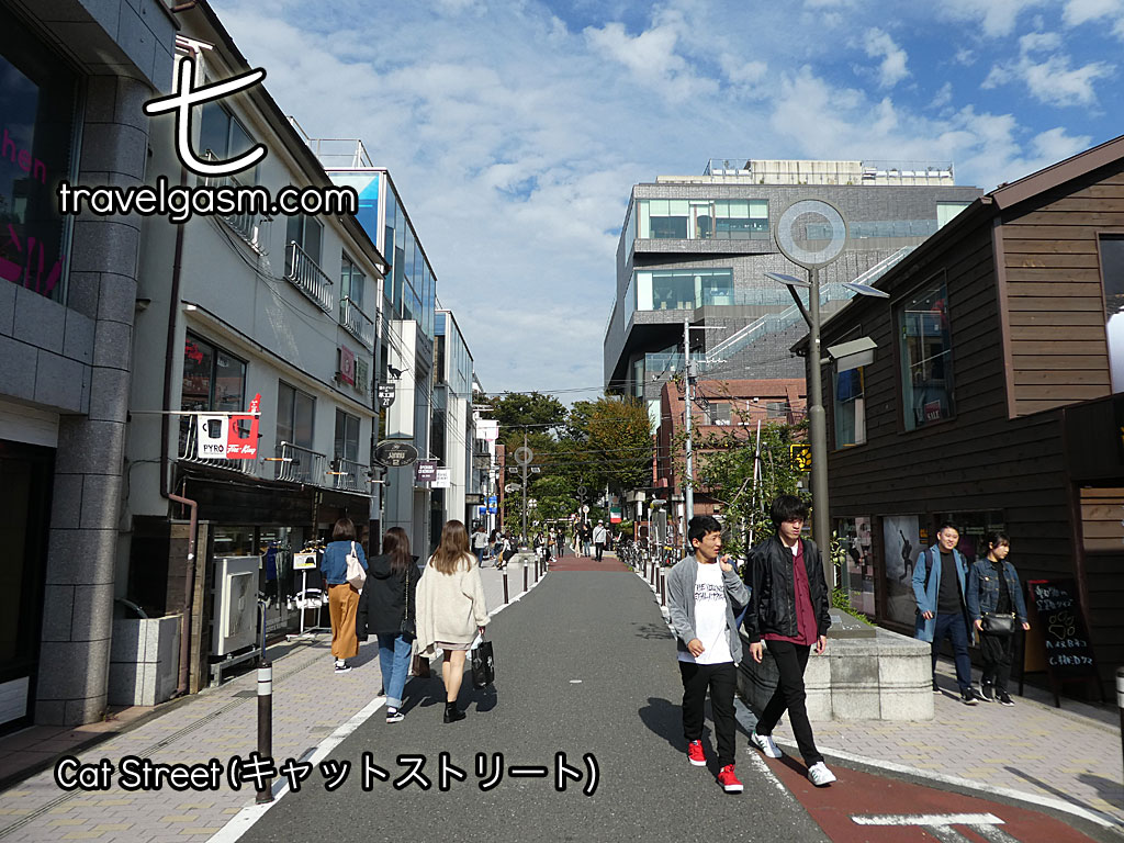 Harajuku's Cat Street has moved more upmarket recently and is a particularly nice stroll.