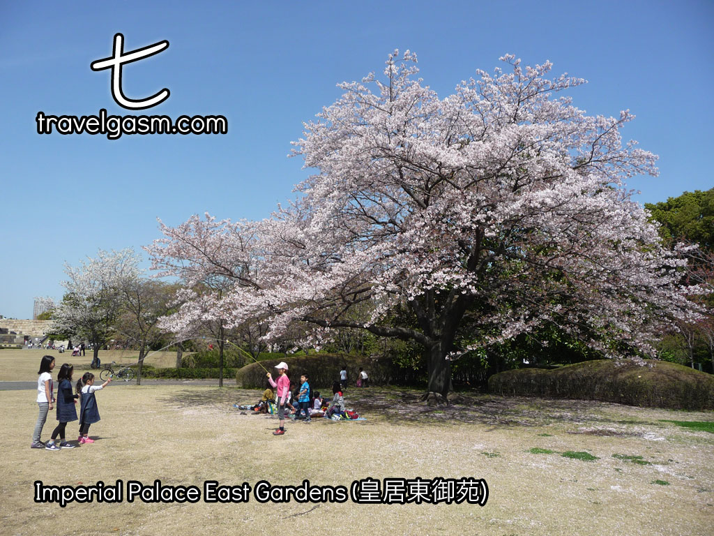 These gardens are particularly beautiful during cherry blossom season.