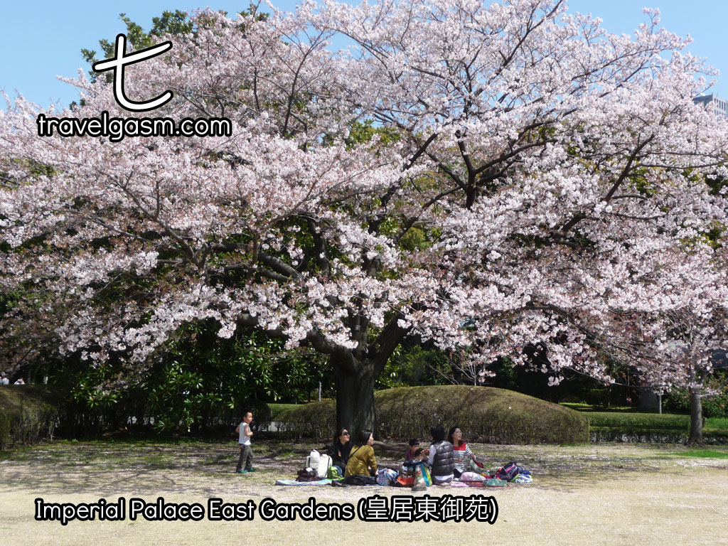 These gardens are particularly popular for picnics during cherry blossom season.