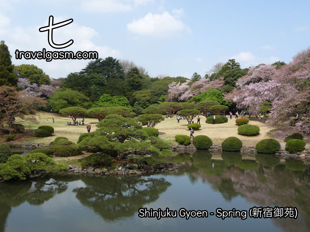 This large park in Shinjuku is particularly beautiful during cherry blossom season.