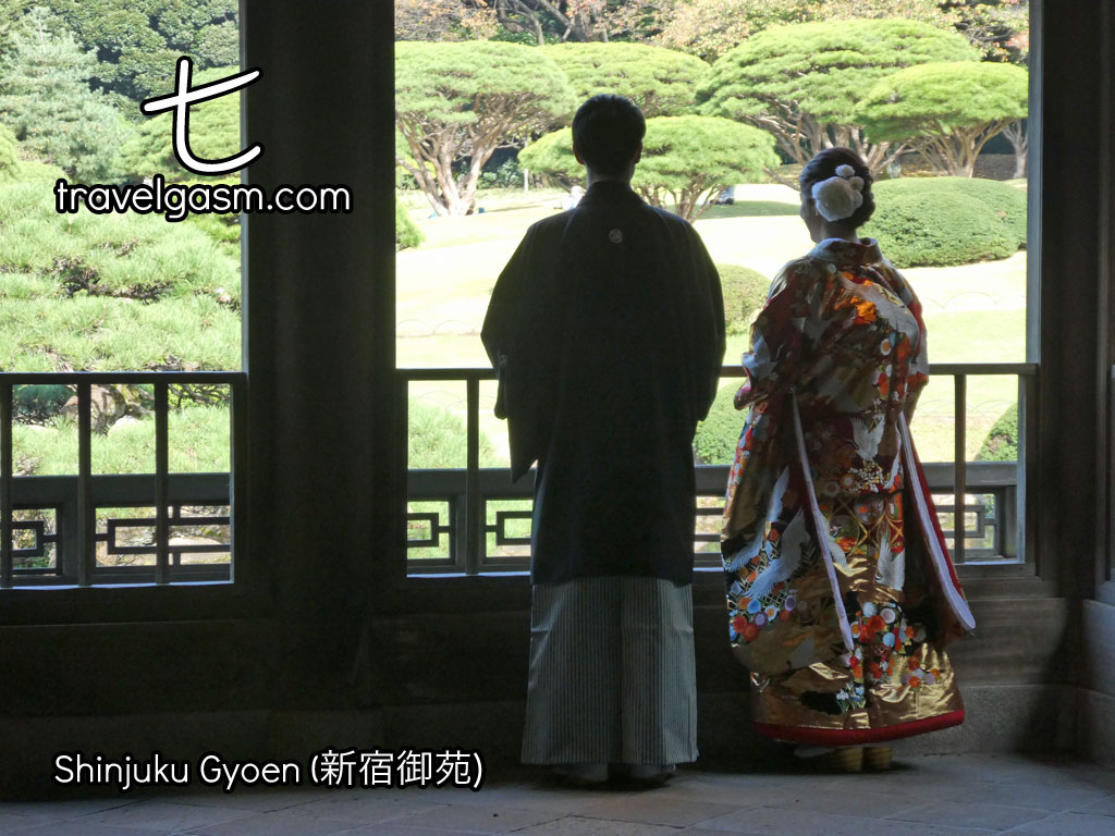 Shinjuku Gyoen is a popular location for locals to take wedding photos.