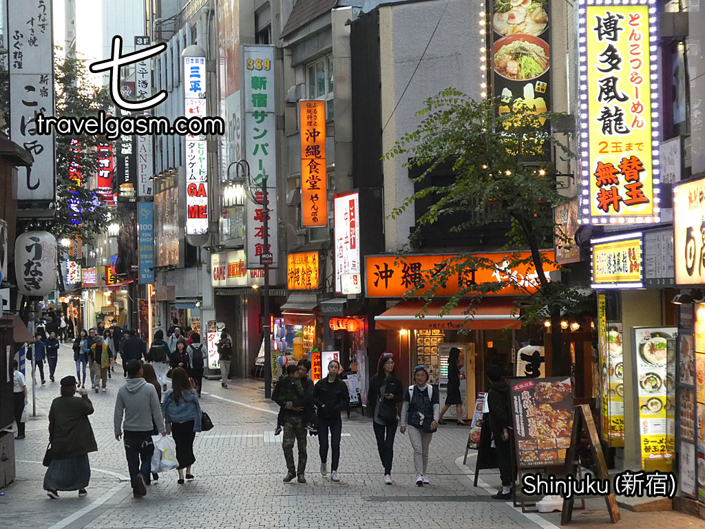 The side streets in Shinjuku could use more trees, but remain largely walkable.